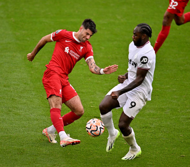 赞助的关注 赞助的关注