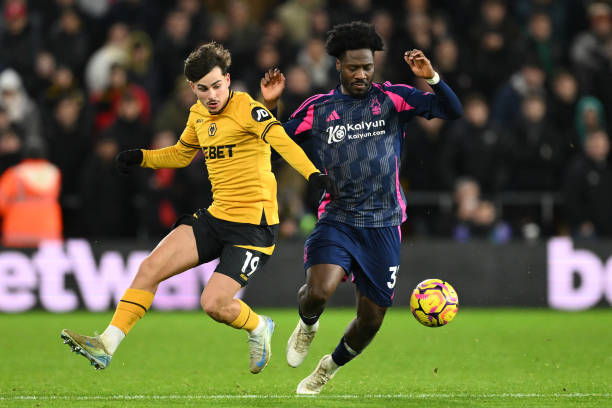 王哲林以及 王哲林以及